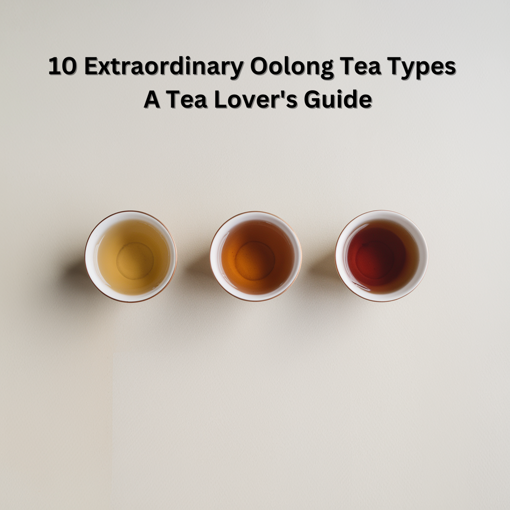 10 Extraordinary Oolong Tea Types Guide