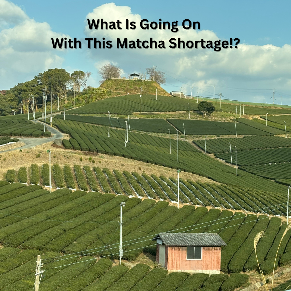 Matcha Shortage in Japan