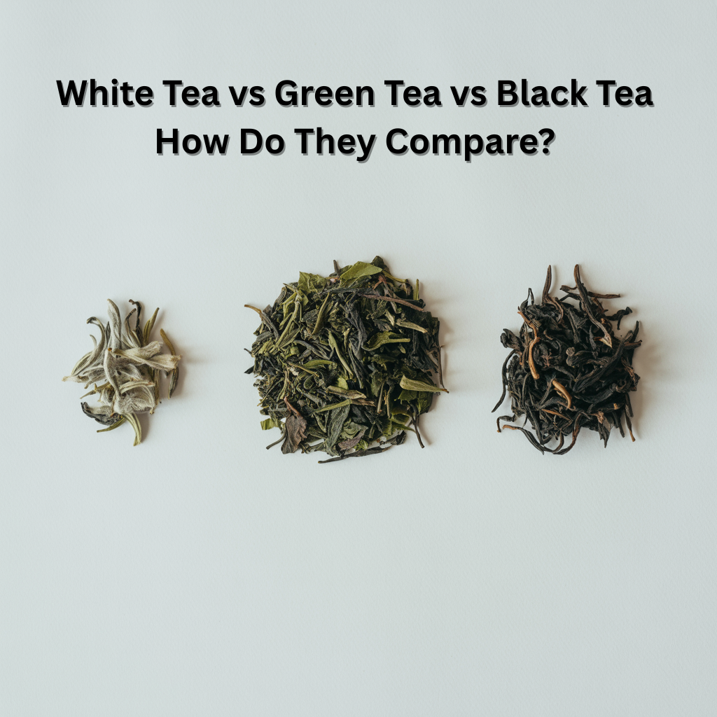White Tea vs Green Tea vs Black Tea