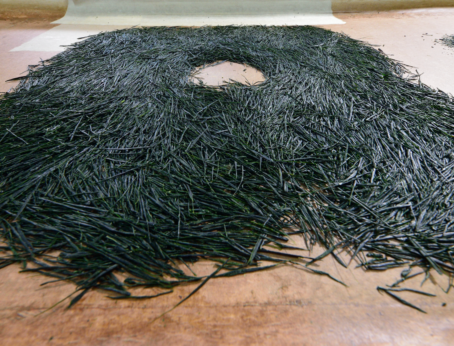 The Art of Hand-Rolled Tea: Temomi Masterclass by Tea Master Yoshiaki Hiruma