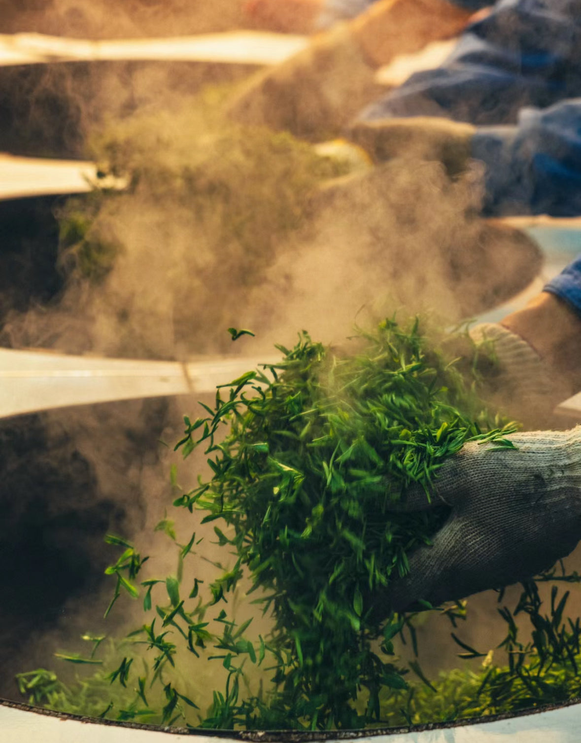 2025 Pre Qing Ming Dong Shan Bi Luo Chun 洞庭东山碧螺春