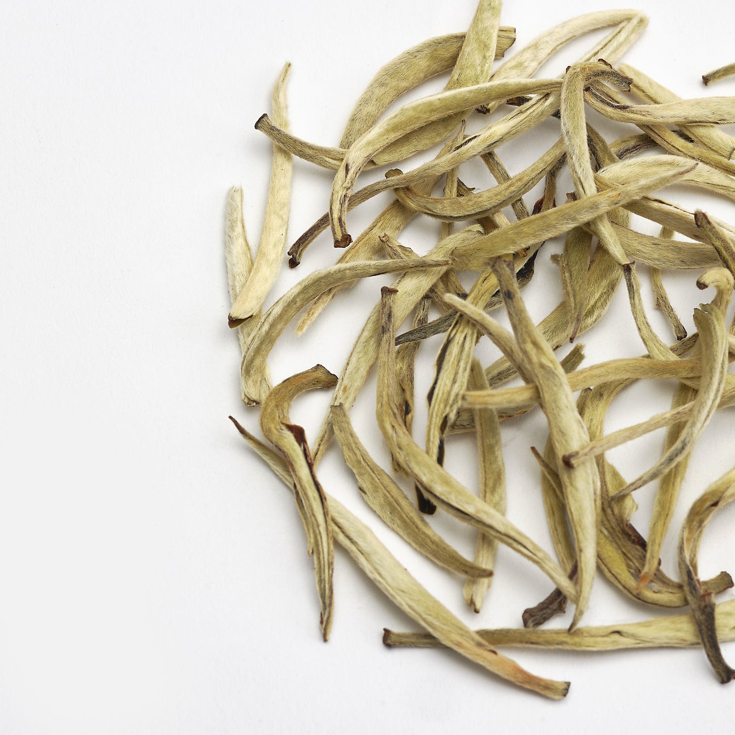 white moonlight needle tea
