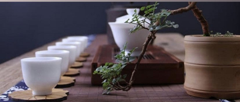2024 Feb 18th Tea Meditation and Tea Tasting Event
