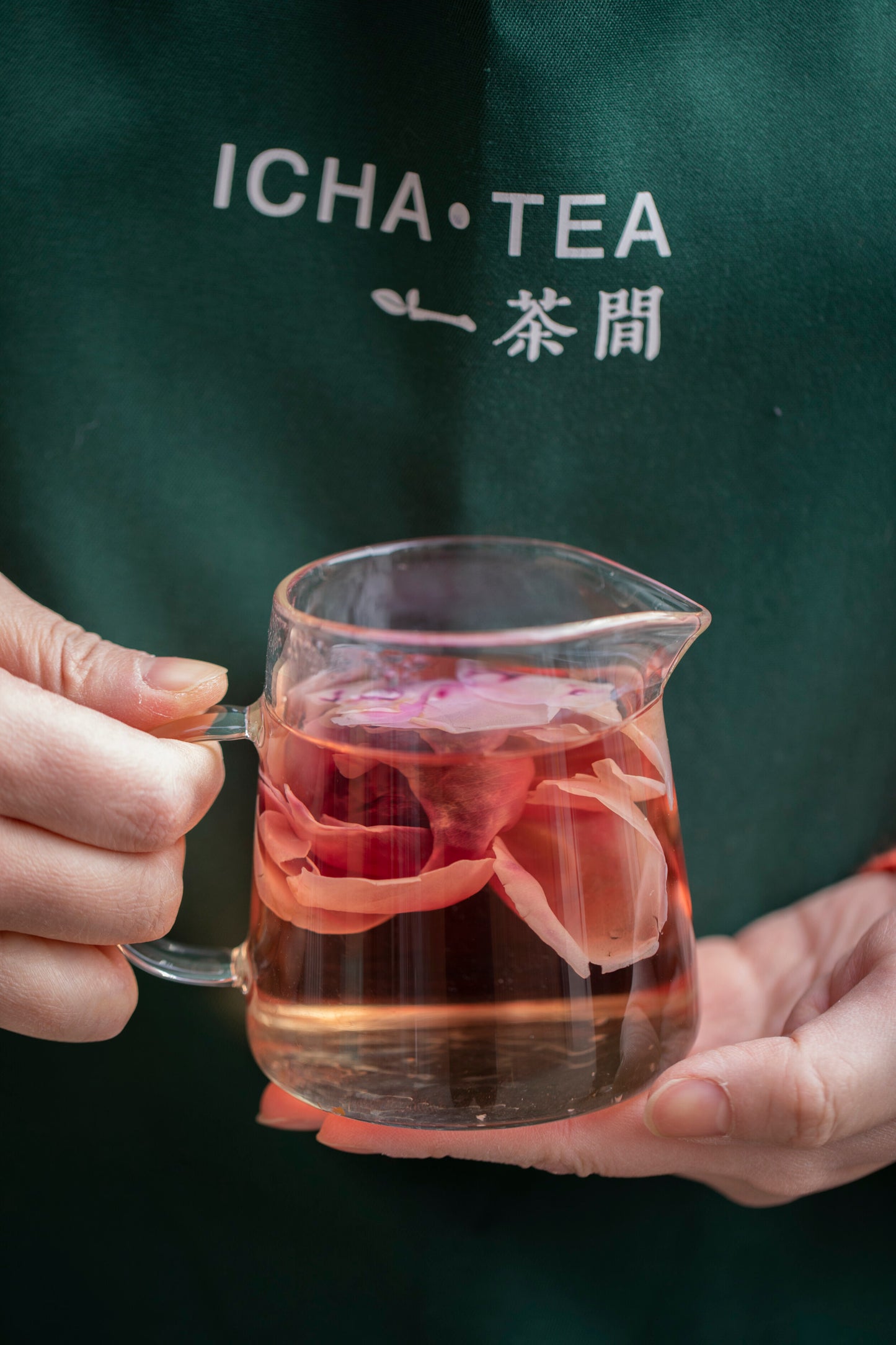 ICHA TEA Herbal tea Crimson Glory Rose Mo Hong  一茶间 多伦多茶店 墨红玫瑰花茶