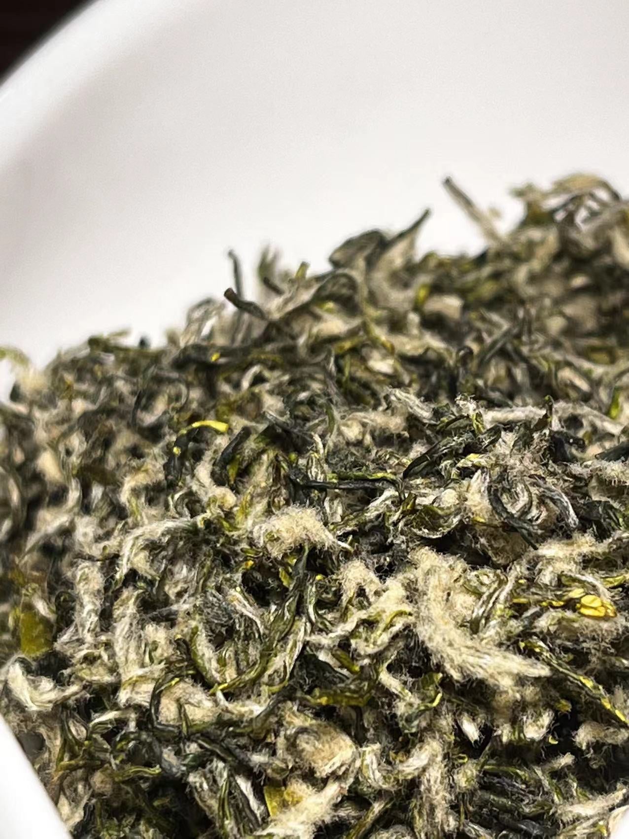 ICHA TEA green tea BiLuoChun 多伦多一茶间碧螺春绿茶