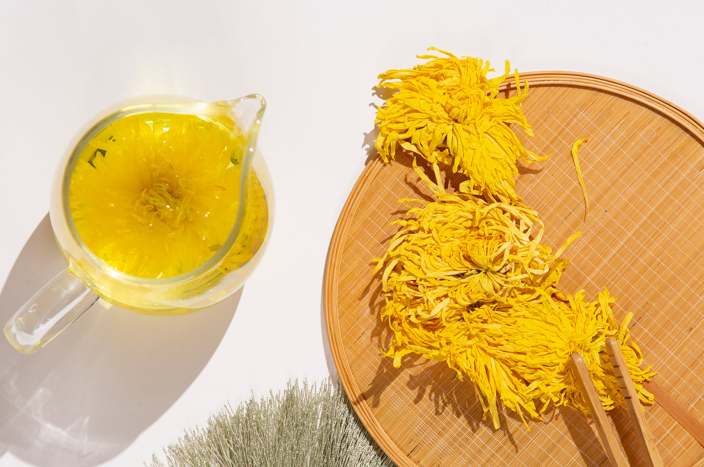 ICHA TEA toronto teashop Herbal tea Chrysanthemum flower tea Gloden royal chrysanthemum  一茶间 多伦多茶店 花茶 菊花茶 金丝皇菊