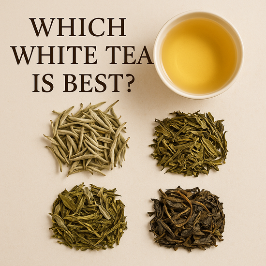 Best White Tea- ICHA TEA-白茶