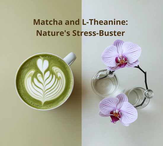 Matcha and L-Theanine Health Benefits