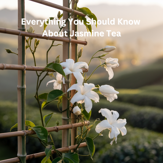 Everything you should know about Jasmine Tea