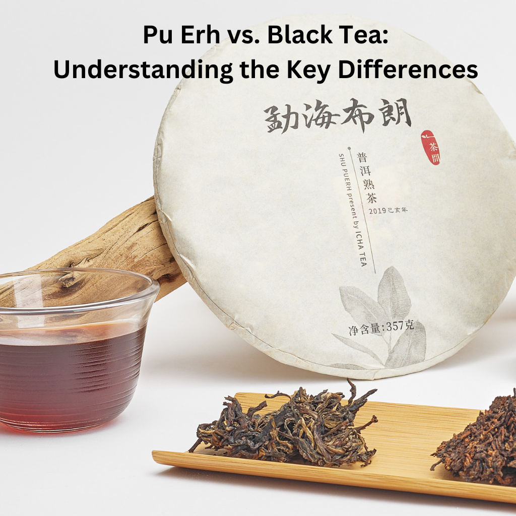 Pu Erh vs. Black Tea: Understanding the Key Differences