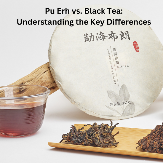 Pu Erh vs. Black Tea: Understanding the Key Differences