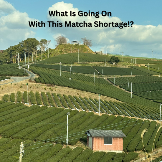 Matcha Shortage in Japan