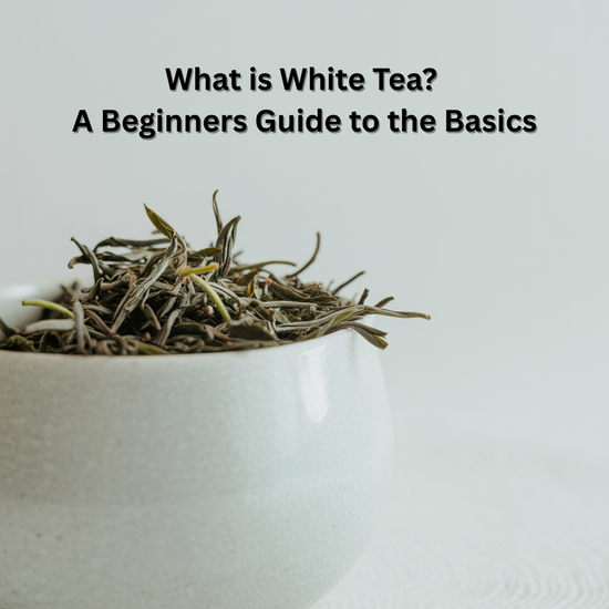 White Tea Beginners Guide to the Basics
