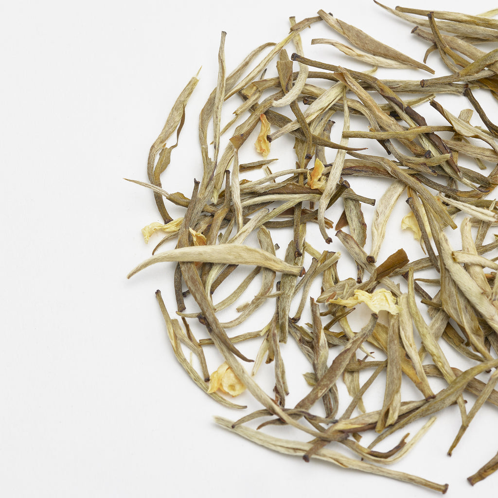 Jasmines Silver Needle 九穴茉莉銀針– ICHA TEA