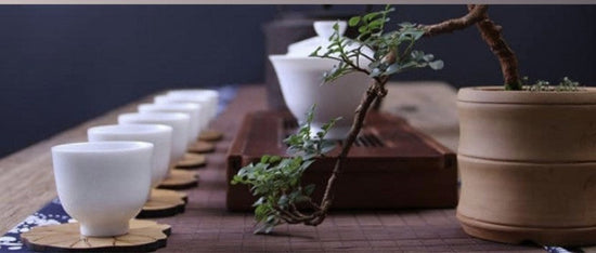 Load image into Gallery viewer, Feb 18th Tea Meditation and Tea Tasting Event
